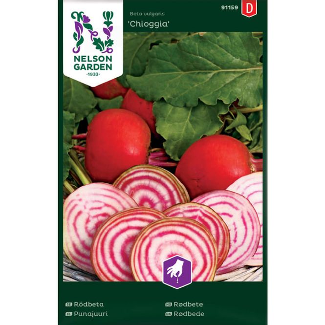 Hovedbilde Rødbete 'Chioggia'