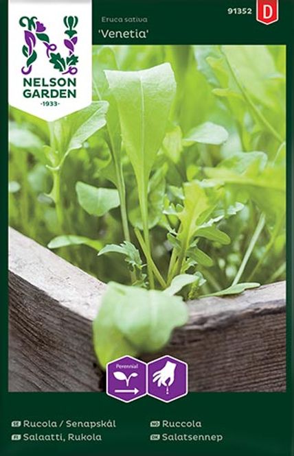 Hovedbilde Ruccola 'Venetia'