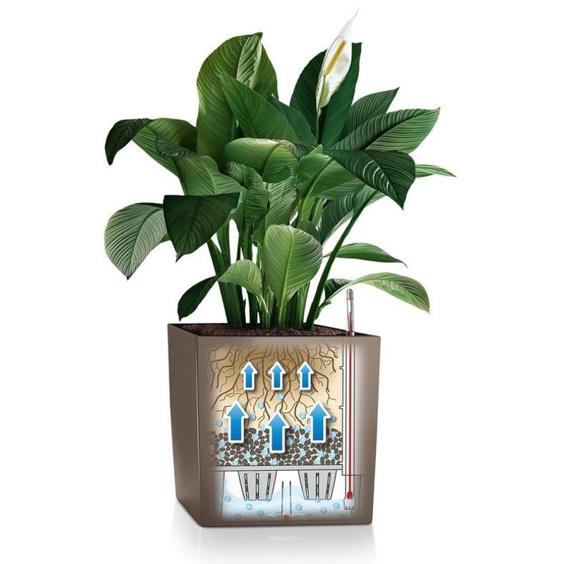 Cube Premium 50, Lechuza Blomsterpotte
