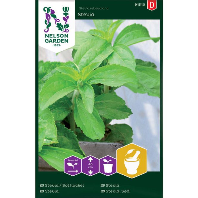 Hovedbilde Stevia
