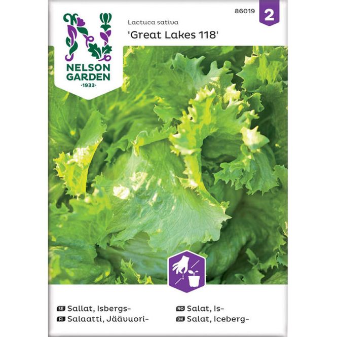 Hovedbilde Salat, Is- 'Great Lakes 118'