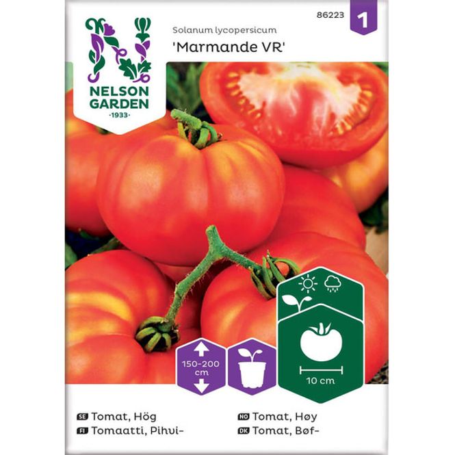 Hovedbilde Tomat, Biff- 'Marmande VR'