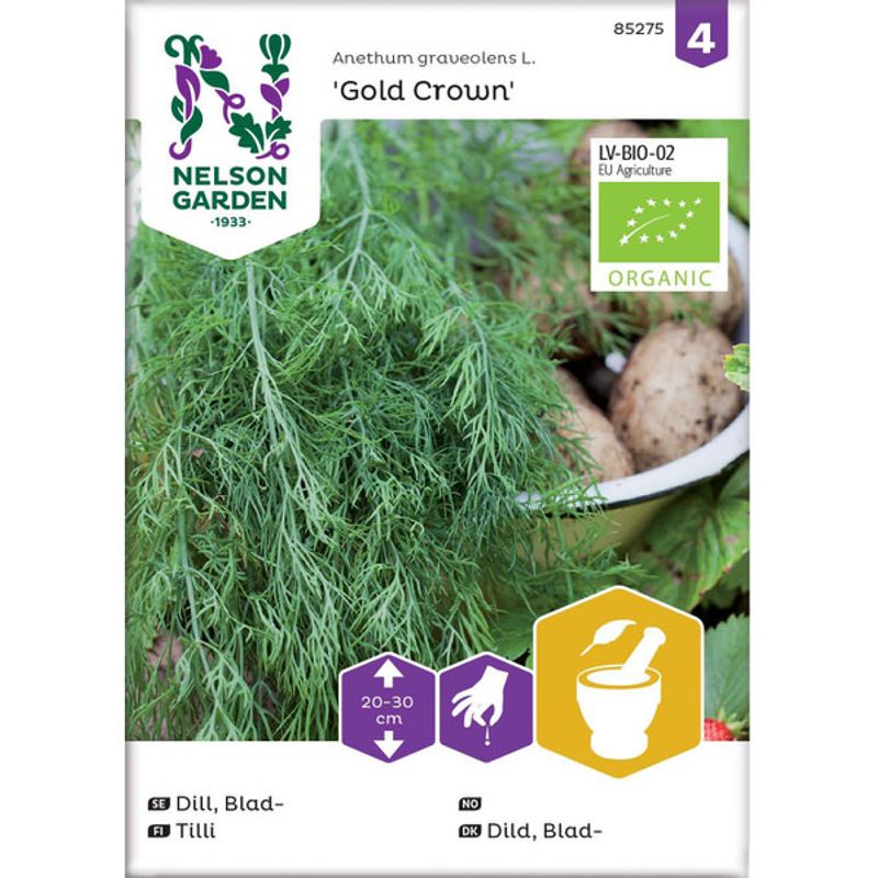 Dill, Blad- 'Gold Crown'
