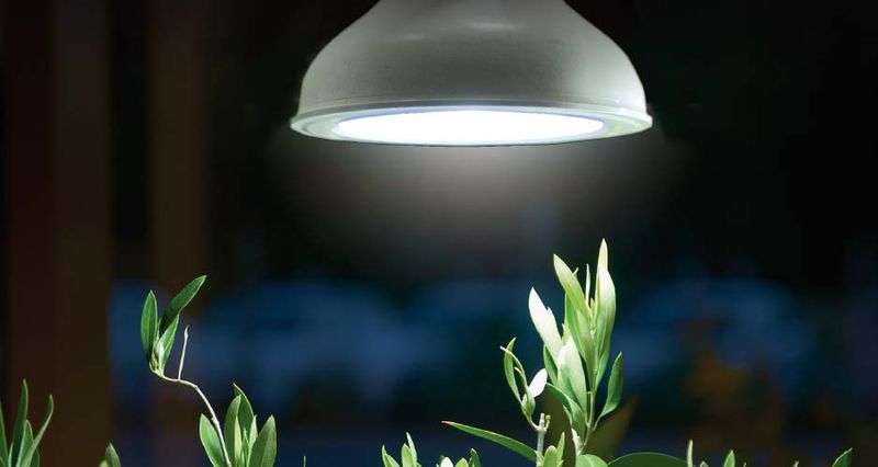 Plantelys LED-pære 18 W E27-sokkel