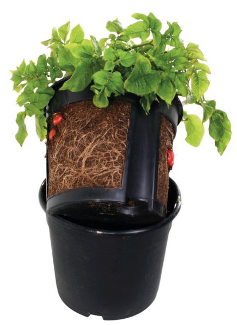 Hovedbilde Combipot Potetpotte 12 liter.