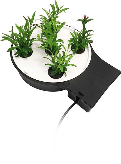 Hovedbilde AutoPot AQUAplate Rund