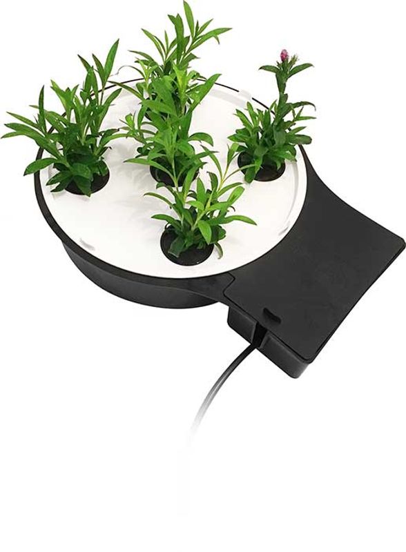 AutoPot AQUAplate Rund