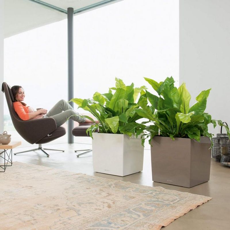 Cube Premium 40, Lechuza Blomsterpotte