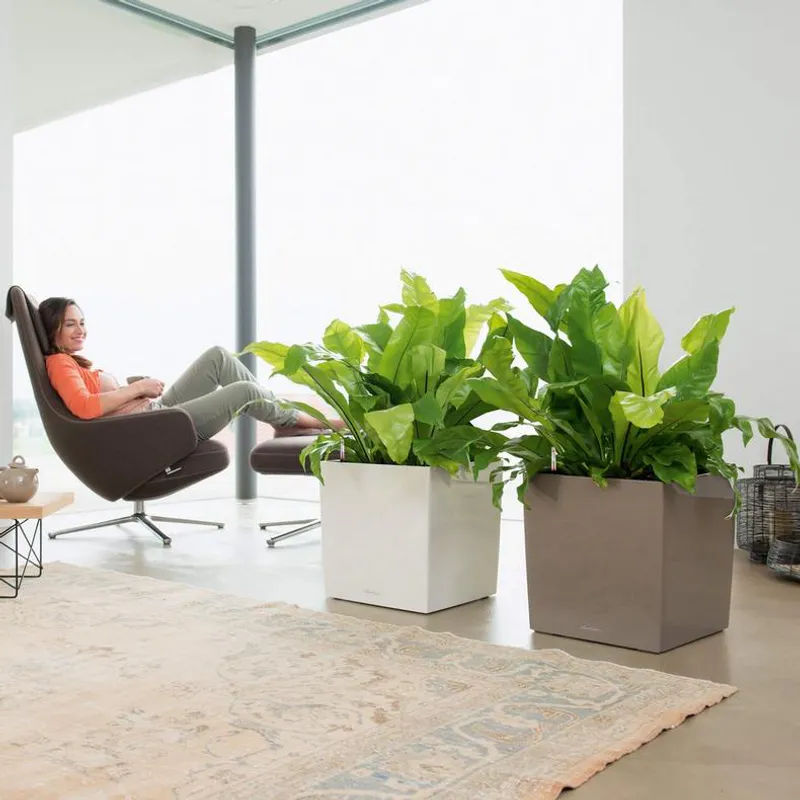 Cube Premium 40, Lechuza Blomsterpotte