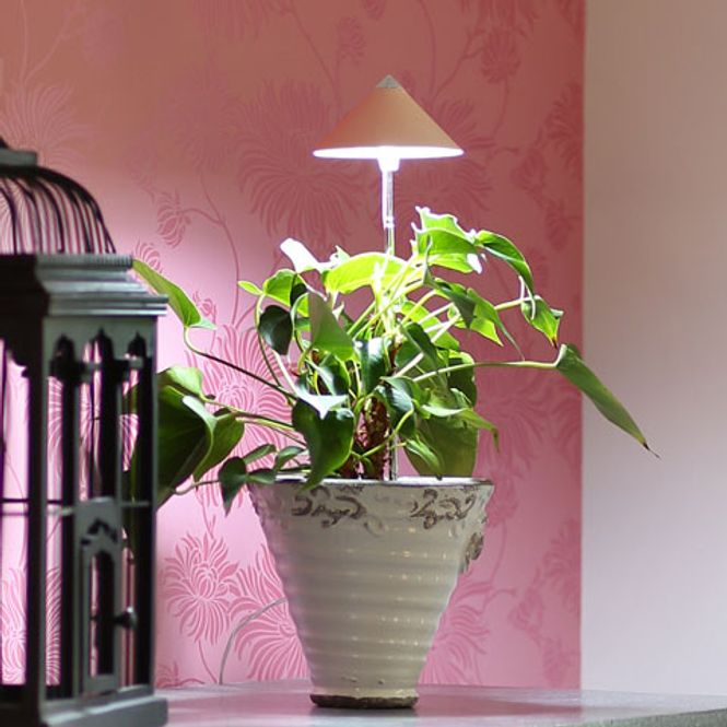 Hovedbilde Sunlite LED vekstlampe 'Oransje'