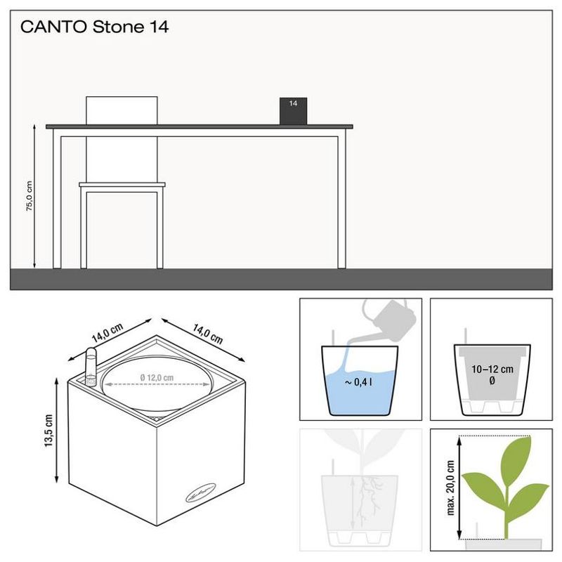 Canto Stone, Lechuza Selvvanningspotte