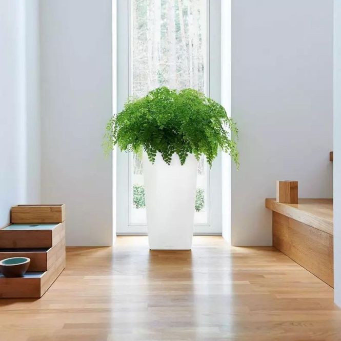 Hovedbilde Cubico Premium 22, Lechuza blomsterpotte
