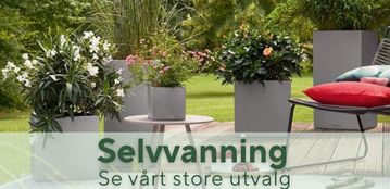 Lechuza selvvanning