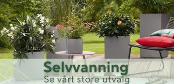 Lechuza selvvanning