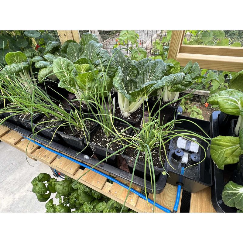 AutoPot Tray2Grow kit