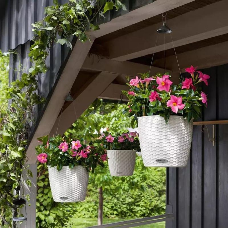 Nido Cottage, Lechuza Ampelpotte