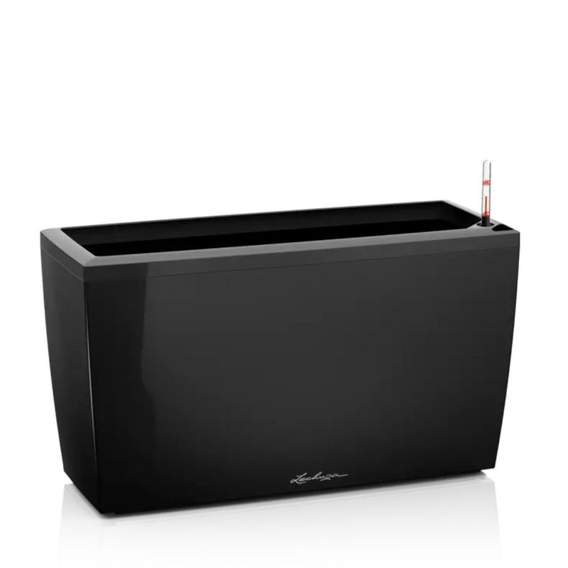 Cararo Premium, Lechuza Blomsterkasse
