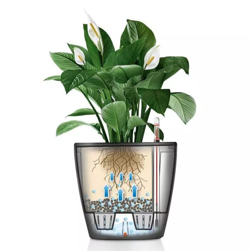 Classico 28 LS, Lechuza Blomsterpotte
